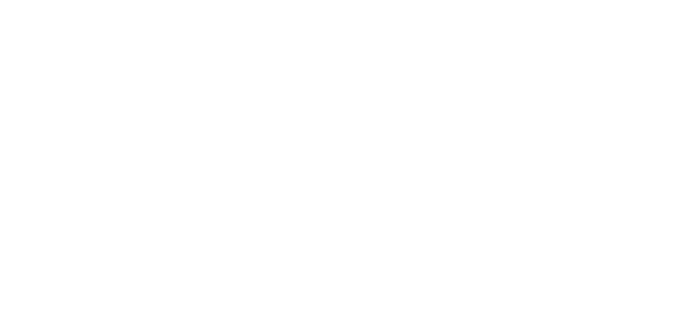 Digital Giants