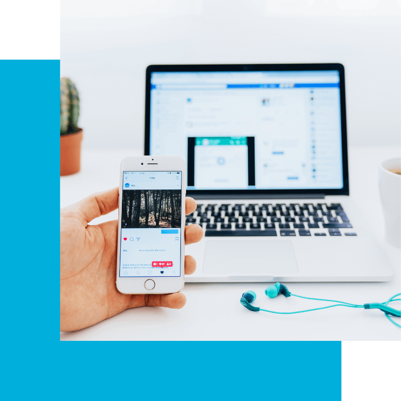 Digital Giants Expertise - Online Advertising