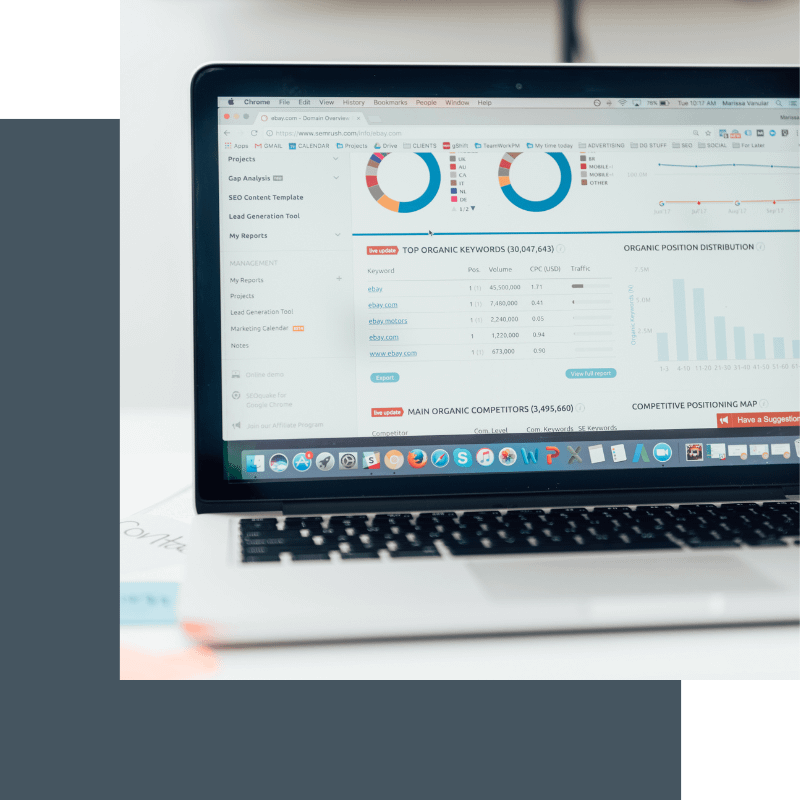 Digital Giants Expertise - SEO